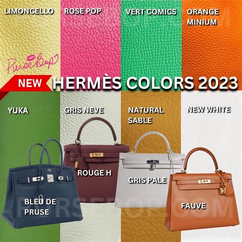 hermes constance colors 2023|hermes constance review.